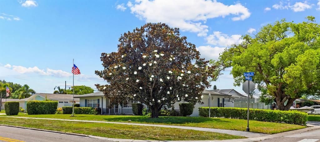 En Venta: $429,000 (2 camas, 2 baños, 1505 Pies cuadrados)