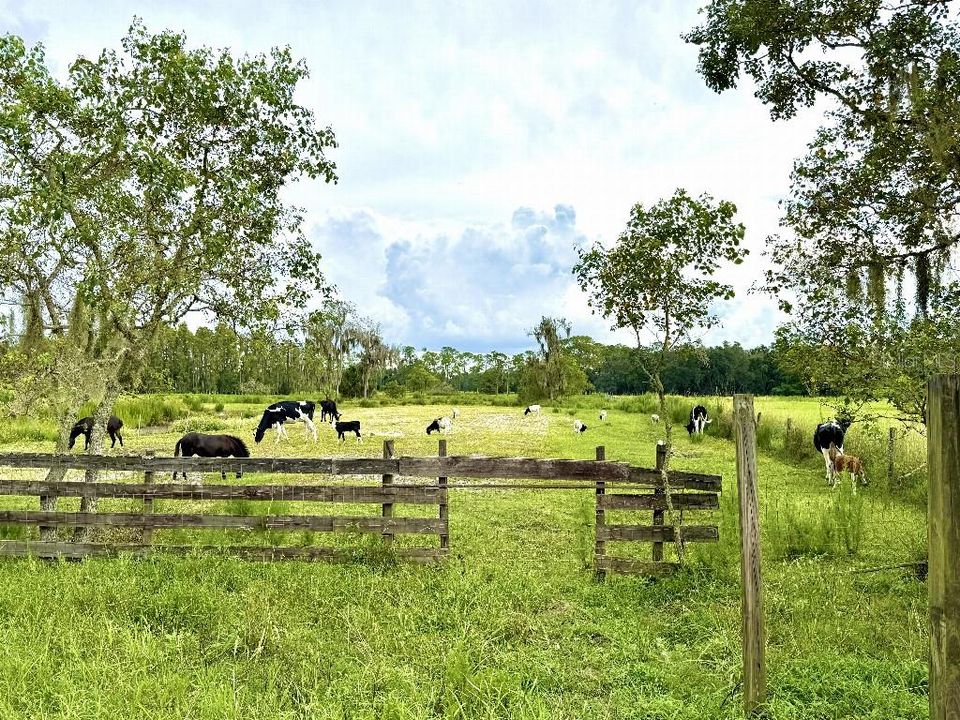 En Venta: $825,000 (11.00 acres)