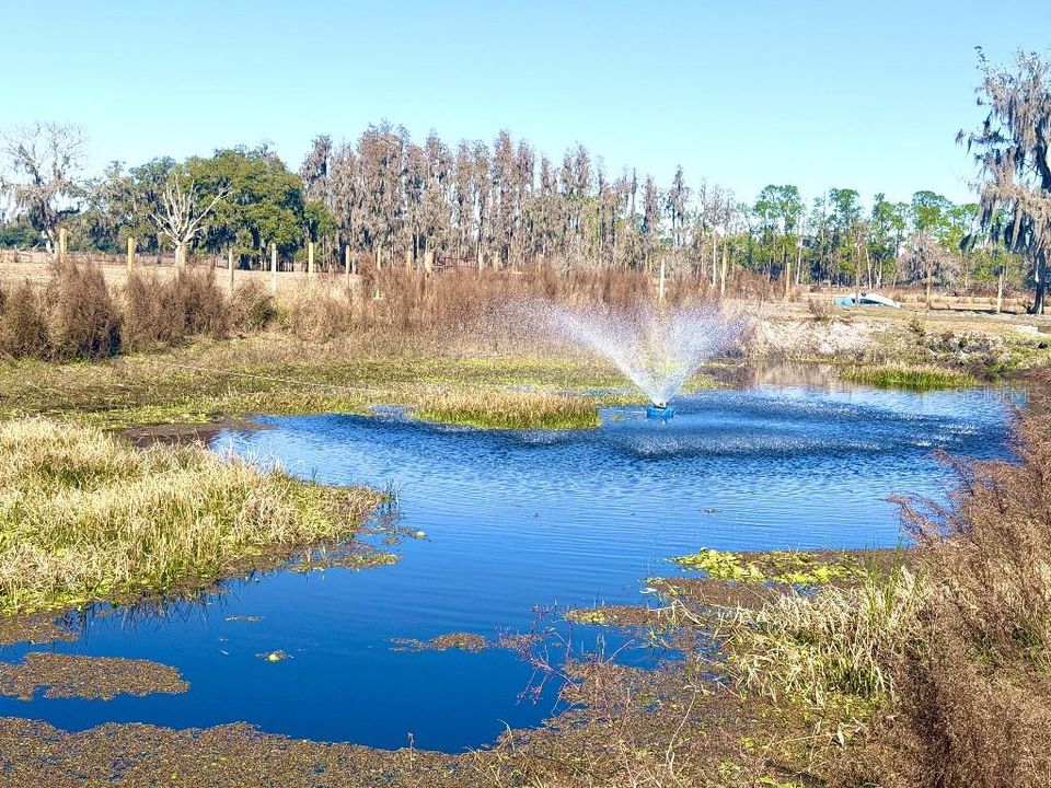 En Venta: $825,000 (11.00 acres)