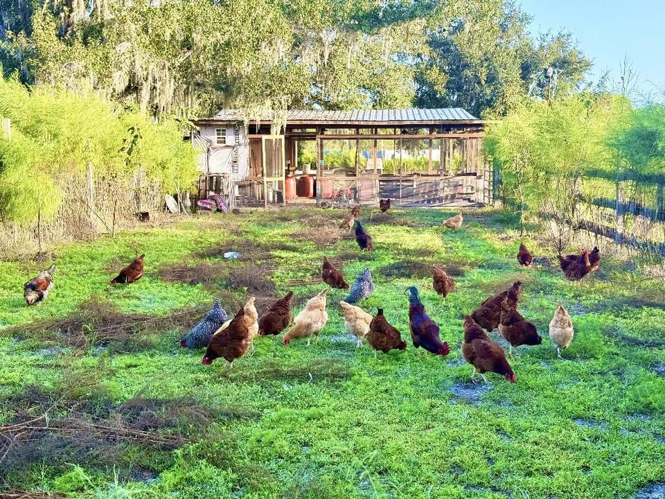 En Venta: $825,000 (11.00 acres)