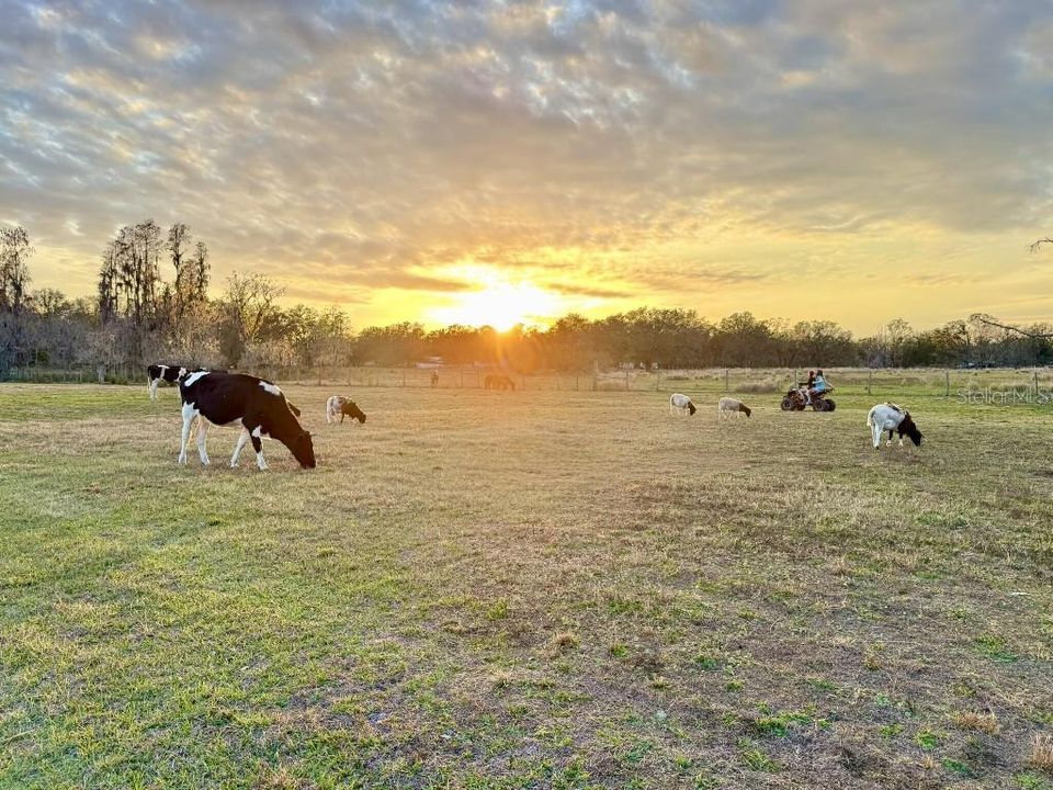 En Venta: $825,000 (11.00 acres)