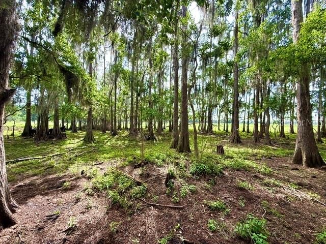 En Venta: $825,000 (11.00 acres)