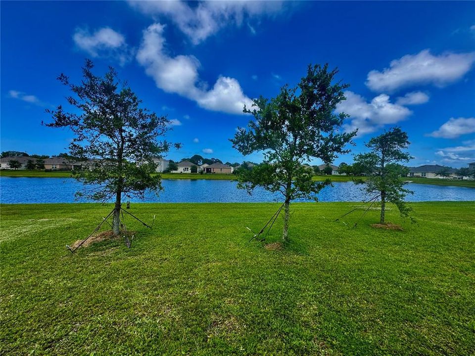 For Sale: $346,900 (4 beds, 2 baths, 1846 Square Feet)