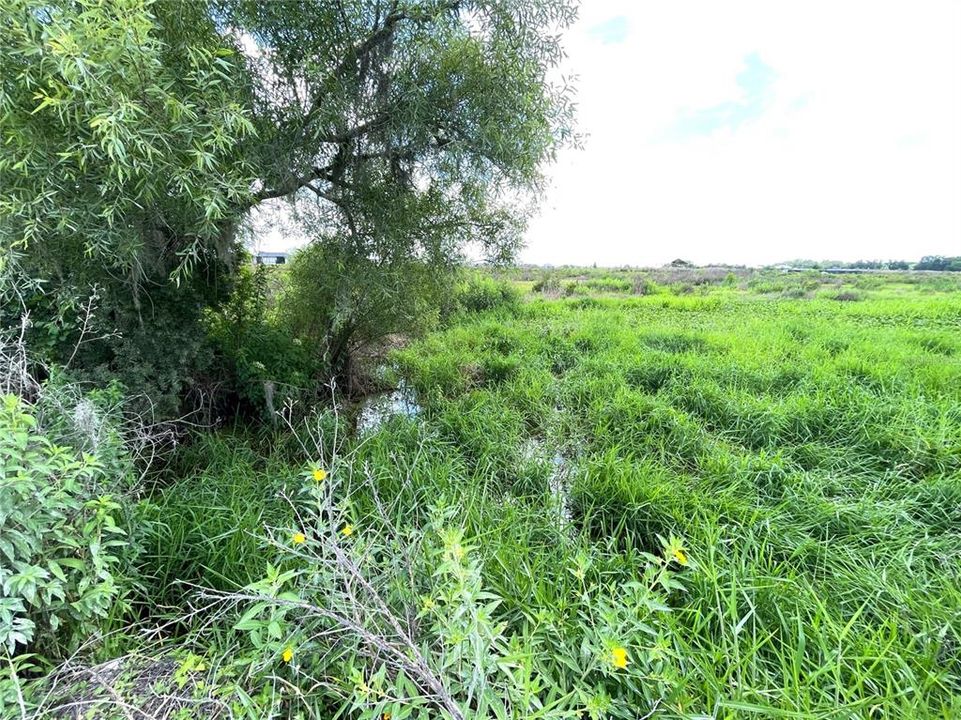 На продажу: $250,000 (29.89 acres)