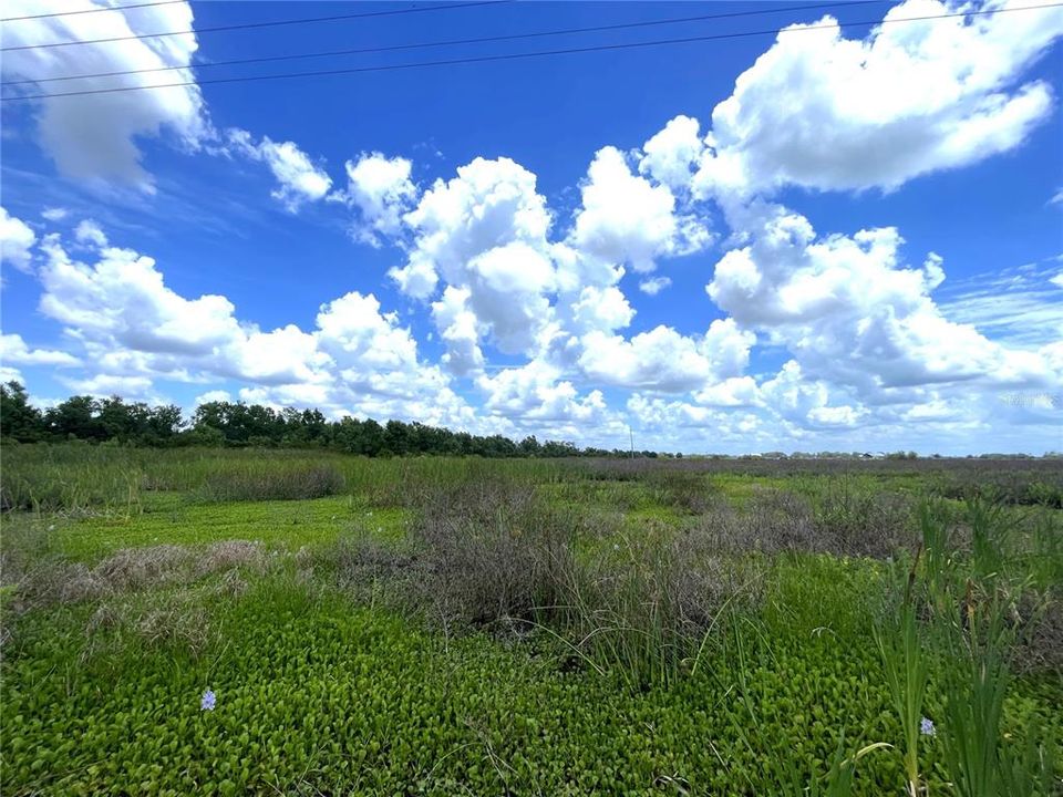 На продажу: $250,000 (29.89 acres)