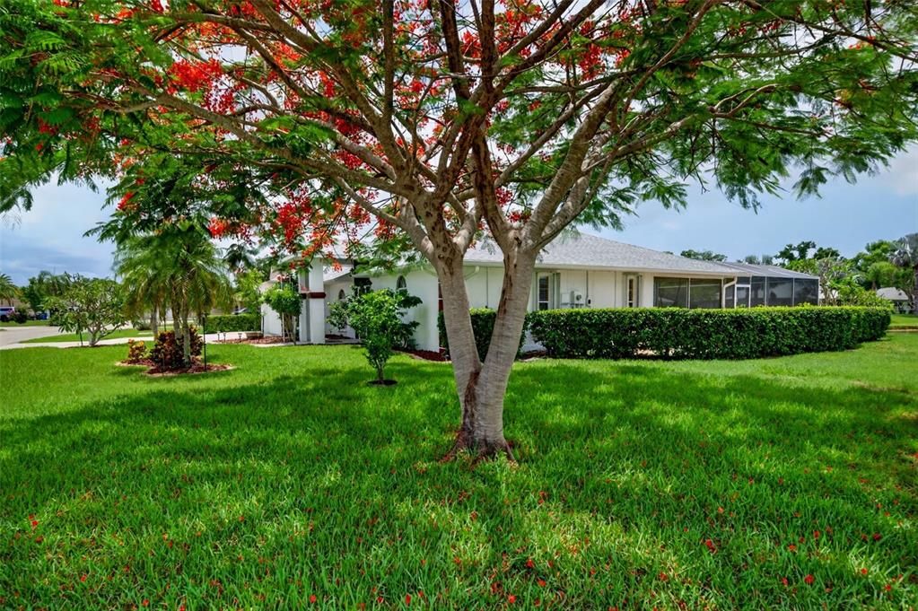 For Sale: $500,000 (3 beds, 2 baths, 2043 Square Feet)
