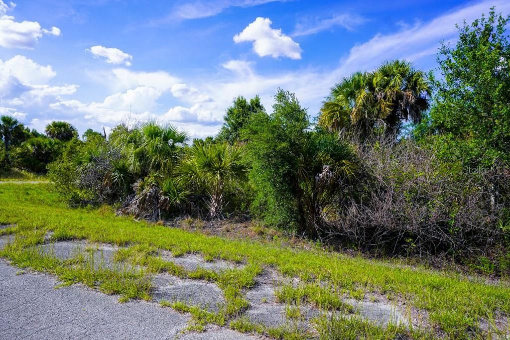 En Venta: $11,000 (0.29 acres)