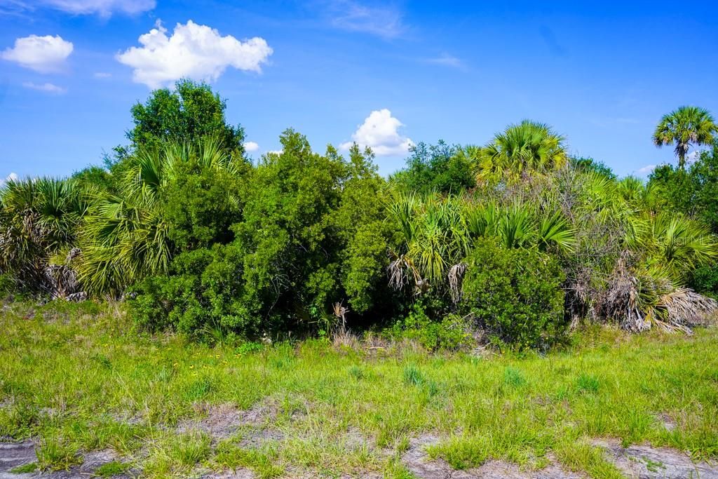 En Venta: $11,000 (0.29 acres)