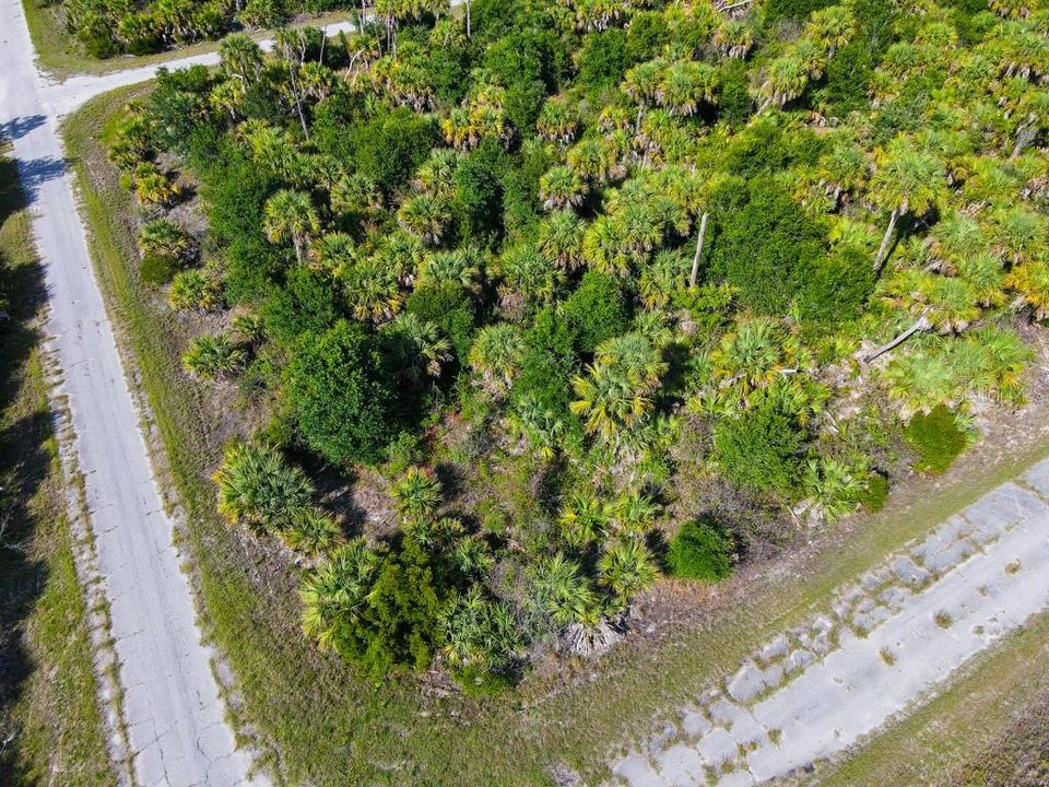 En Venta: $11,000 (0.29 acres)