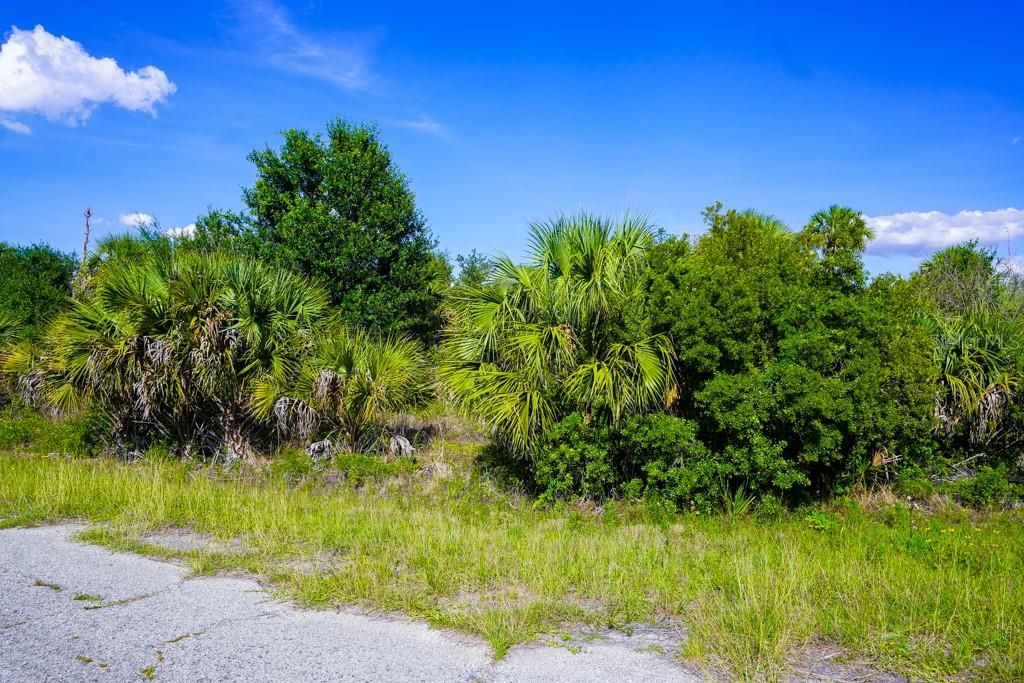 En Venta: $11,000 (0.29 acres)