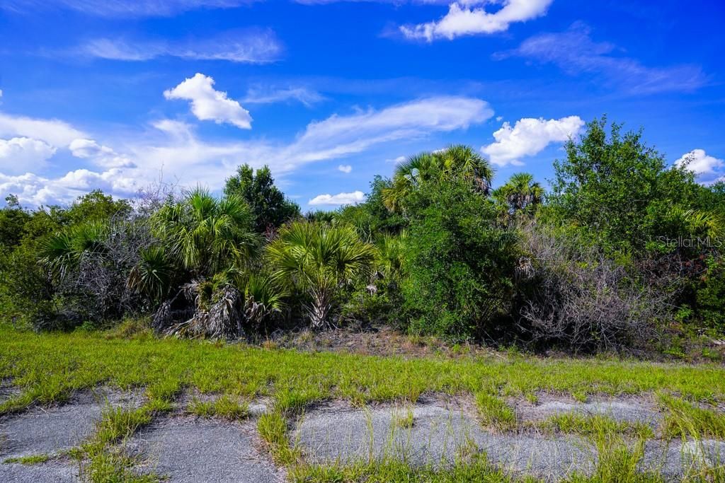 En Venta: $11,000 (0.29 acres)