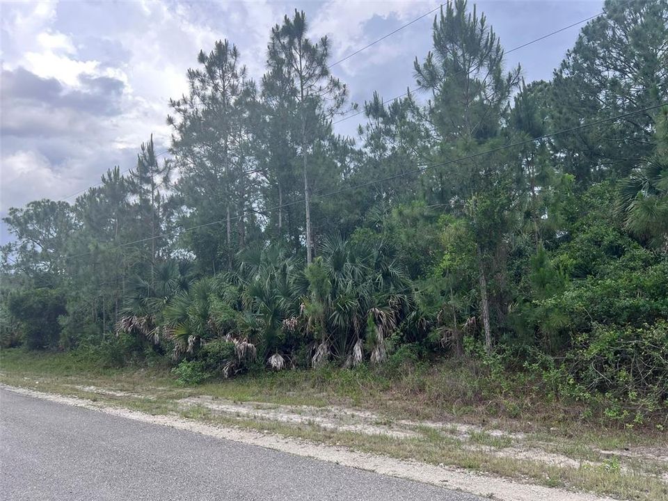待售: $250,000 (2.73 acres)