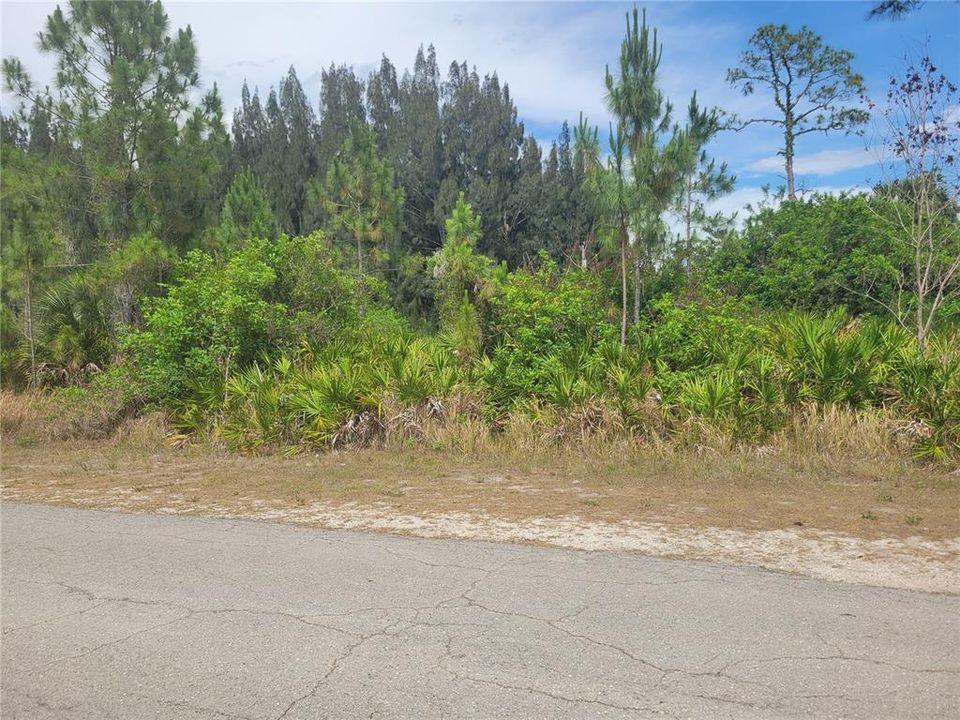 For Sale: $18,000 (0.25 acres)