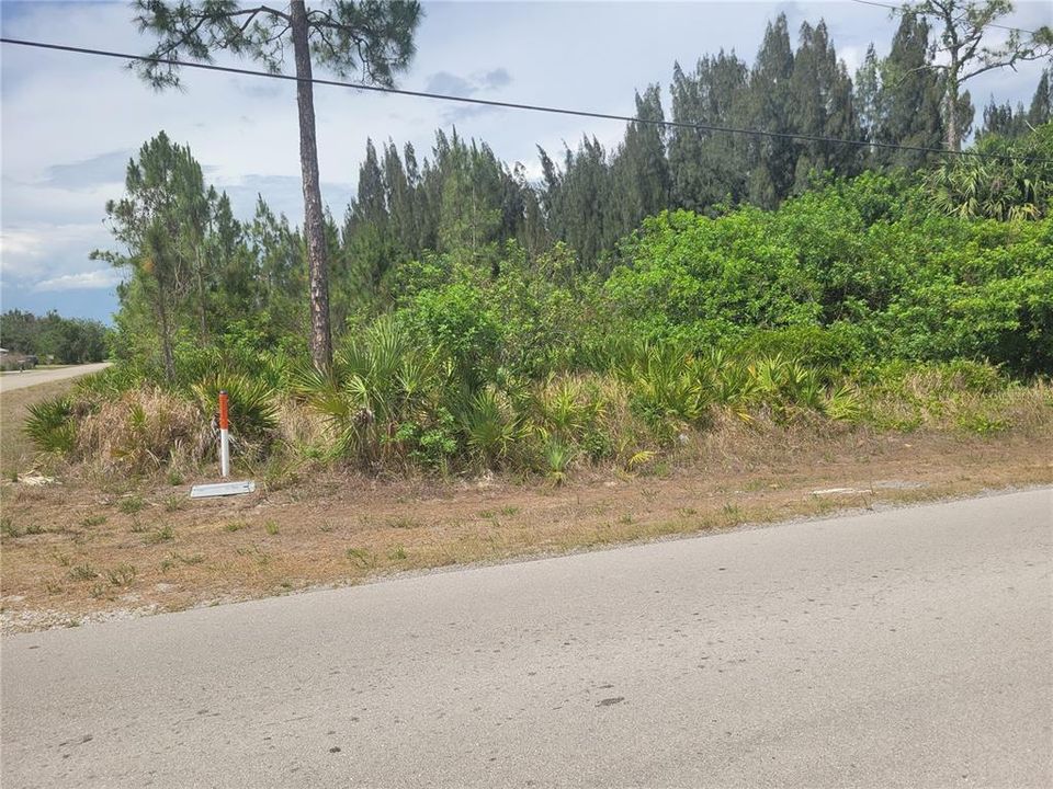 For Sale: $18,000 (0.25 acres)