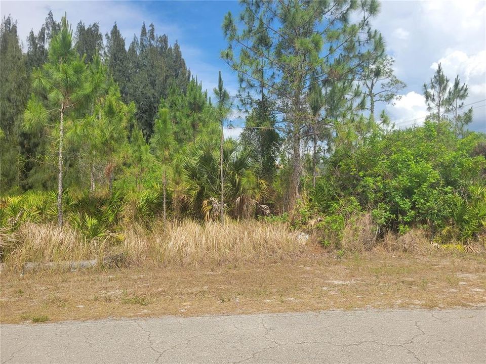 For Sale: $18,000 (0.25 acres)