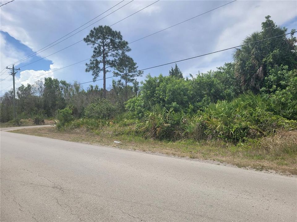 For Sale: $18,000 (0.25 acres)