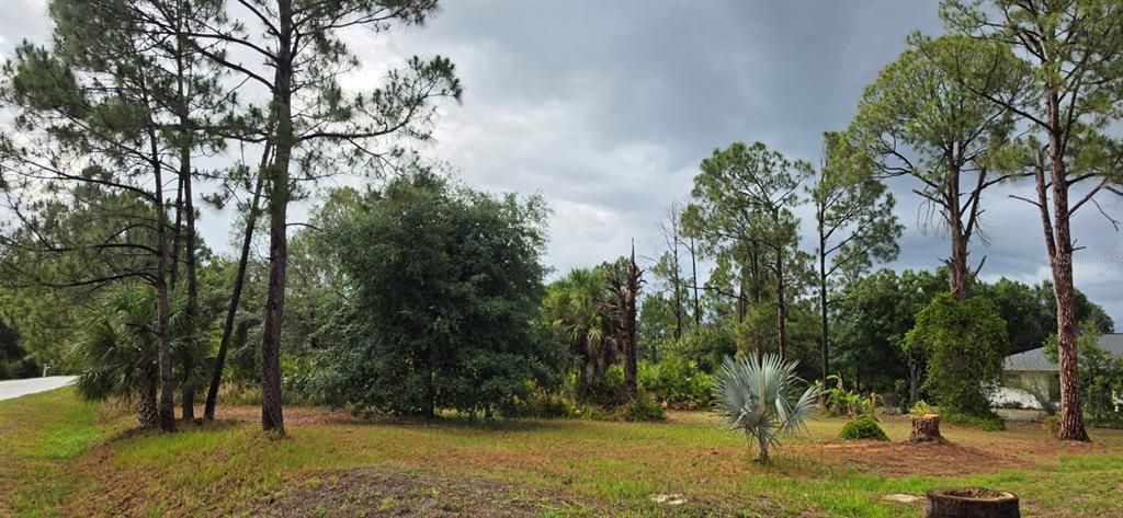 На продажу: $19,500 (0.24 acres)
