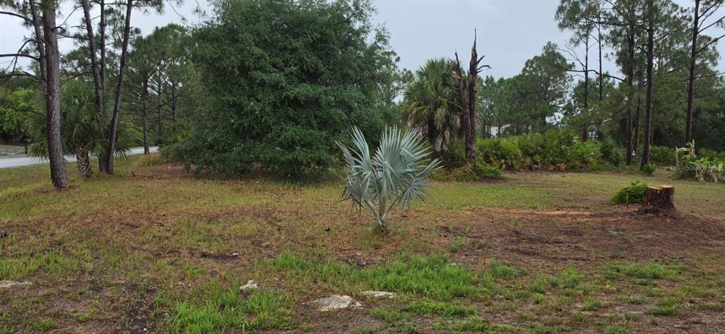 На продажу: $19,500 (0.24 acres)