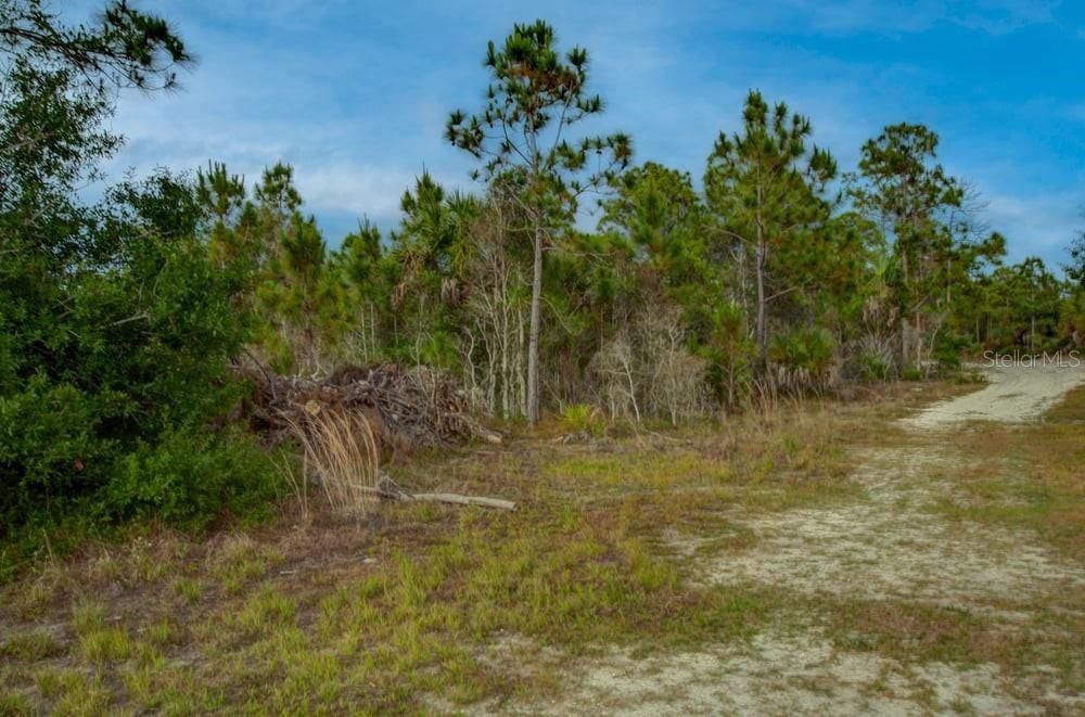 En Venta: $29,900 (0.15 acres)