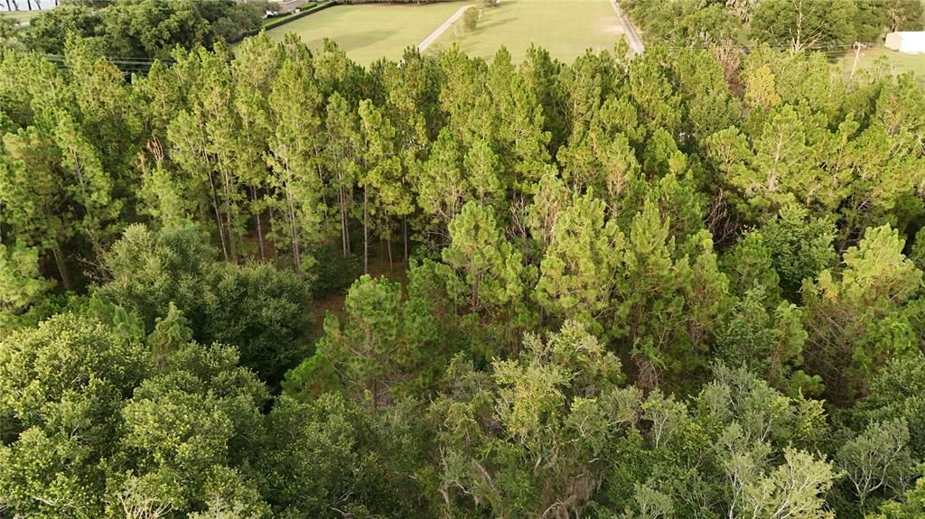 For Sale: $2,152,800 (41.01 acres)