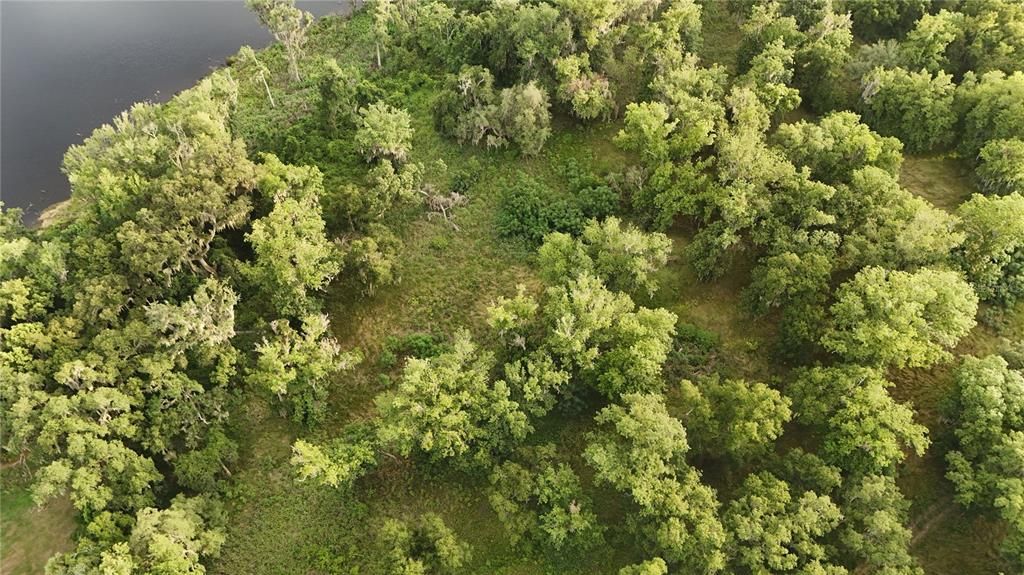 For Sale: $2,152,800 (41.01 acres)