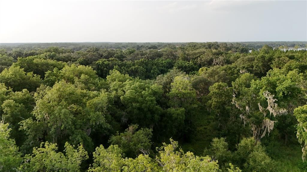 For Sale: $2,152,800 (41.01 acres)