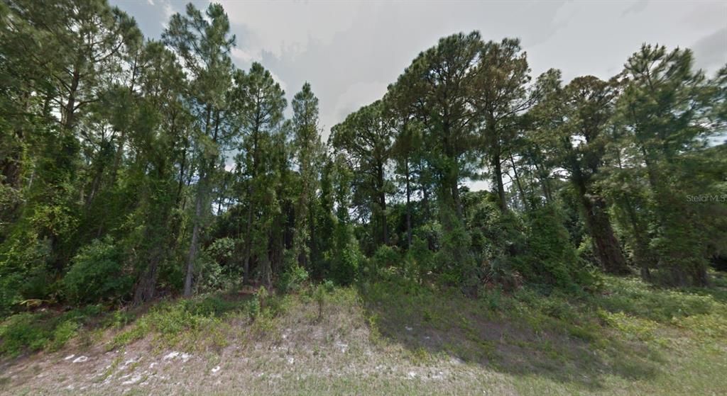 На продажу: $17,500 (0.23 acres)