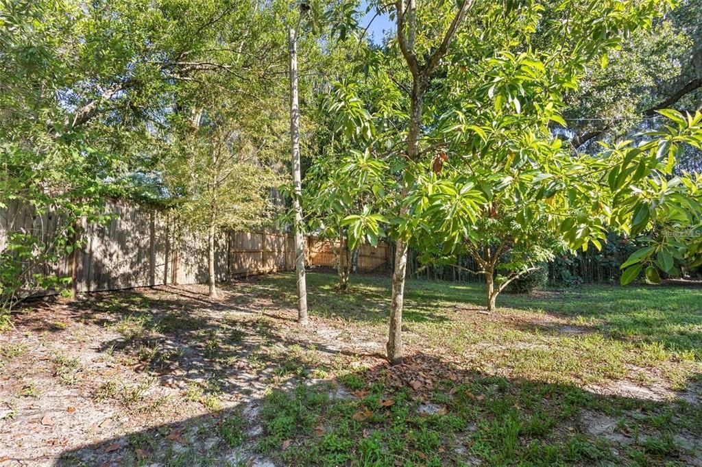 На продажу: $319,900 (3 спален, 2 ванн, 1731 Квадратных фут)
