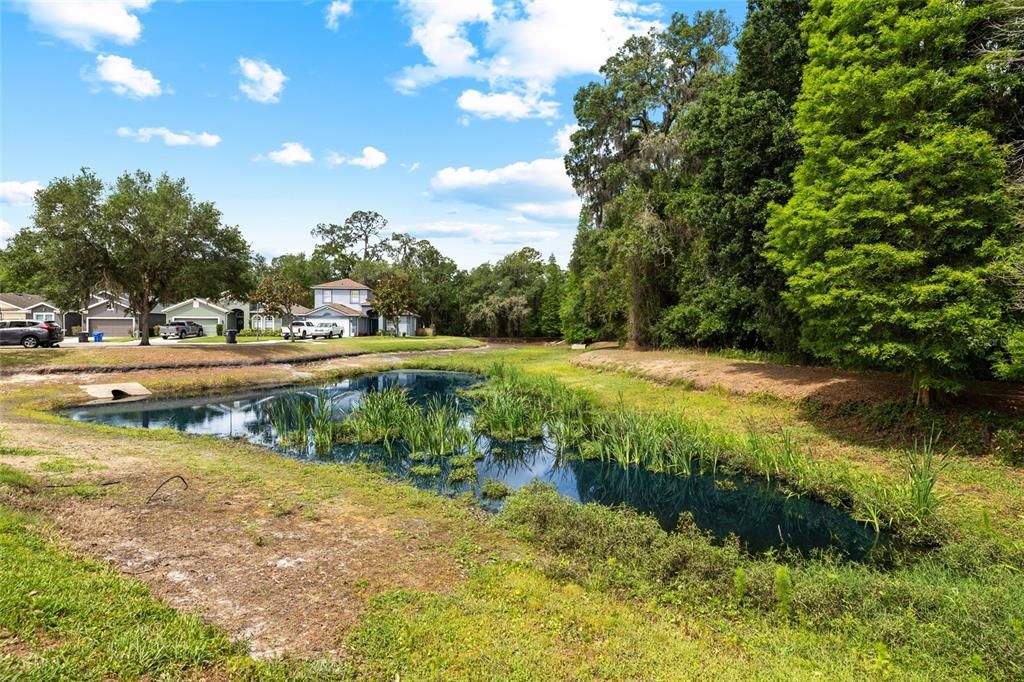 For Sale: $339,990 (3 beds, 2 baths, 1598 Square Feet)
