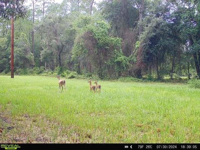 Activo con contrato: $215,000 (17.85 acres)