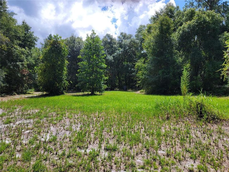 Activo con contrato: $215,000 (17.85 acres)