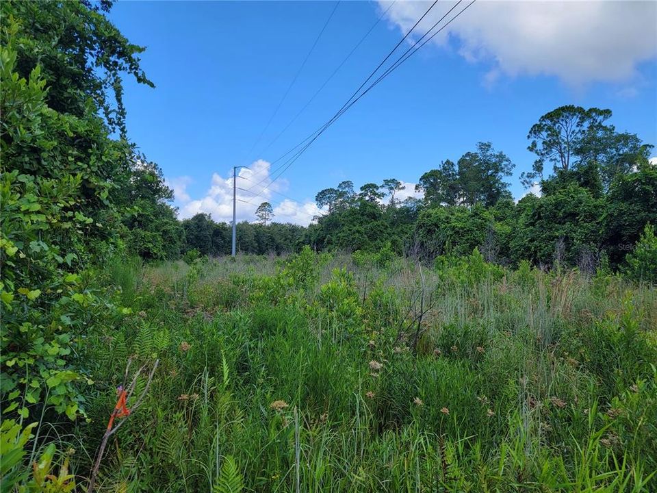 Activo con contrato: $215,000 (17.85 acres)