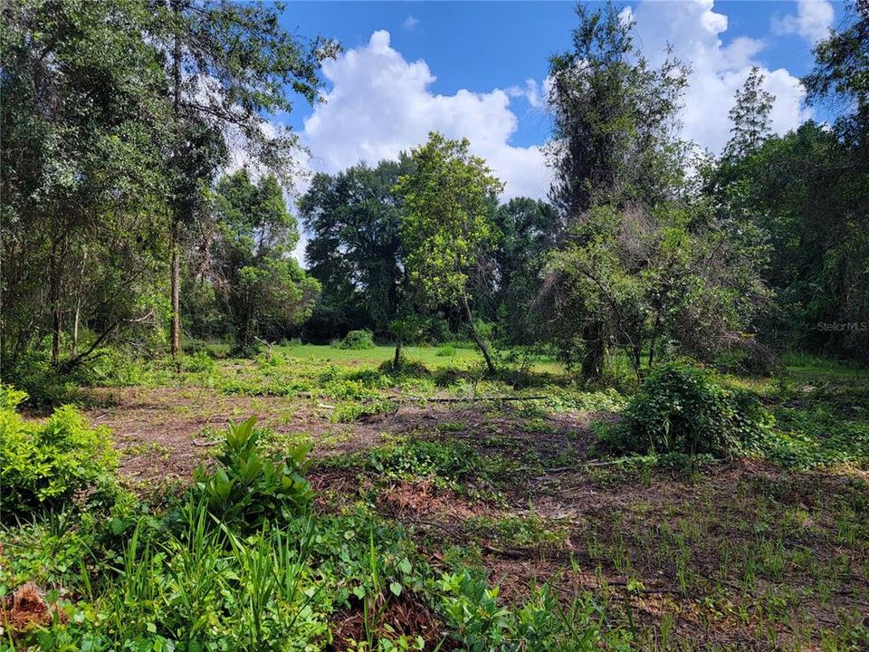 Activo con contrato: $215,000 (17.85 acres)