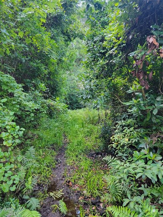 Activo con contrato: $215,000 (17.85 acres)