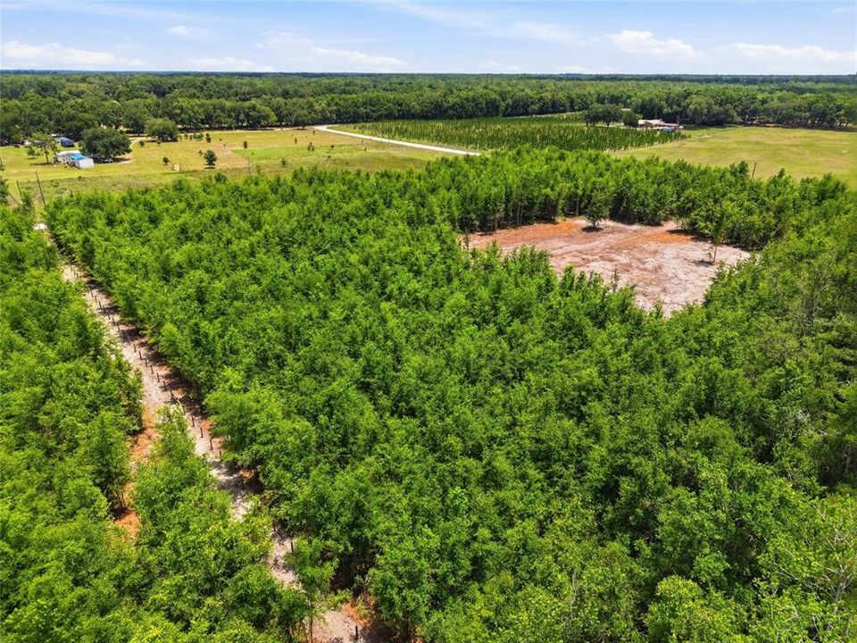 For Sale: $199,900 (10.00 acres)