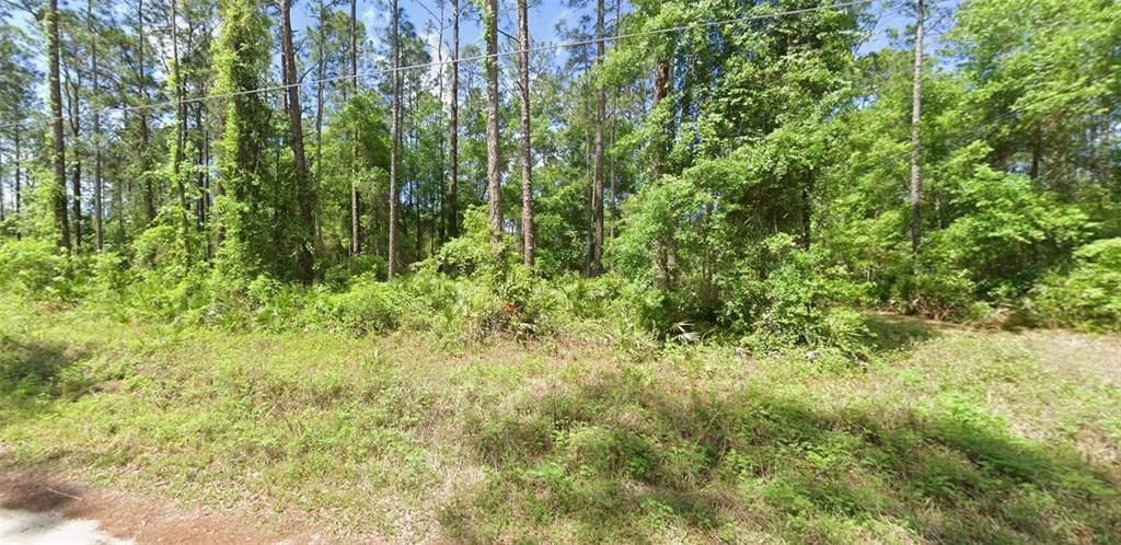 For Sale: $13,000 (1.51 acres)