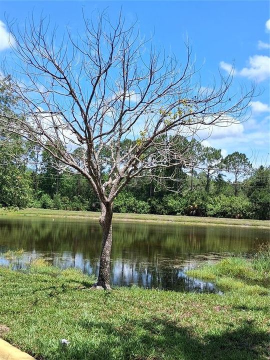 En Venta: $299,900 (3 camas, 2 baños, 1578 Pies cuadrados)
