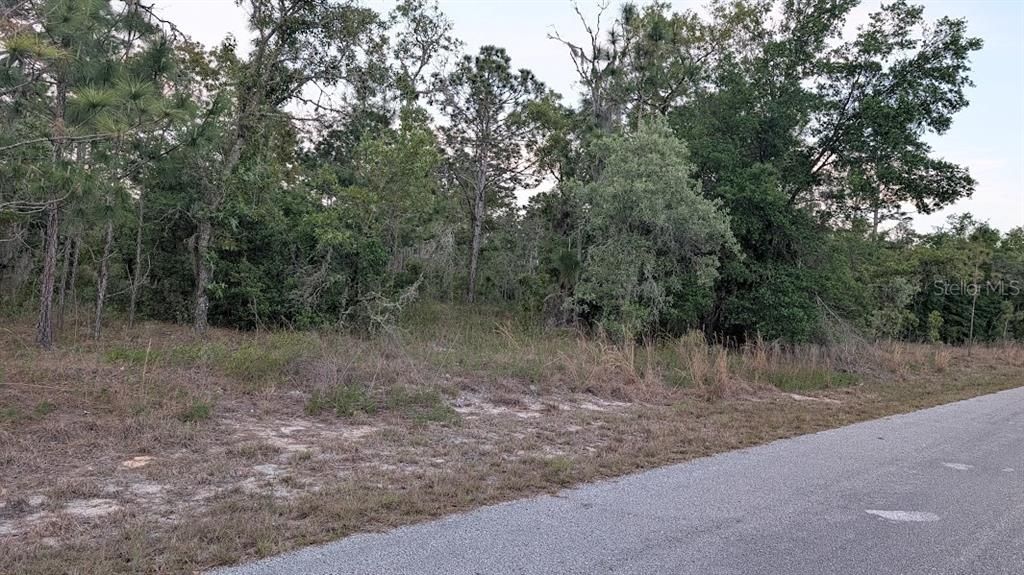 Active With Contract: $31,900 (1.05 acres)