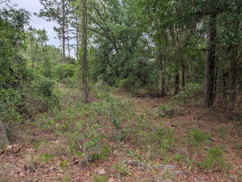Active With Contract: $31,900 (1.05 acres)