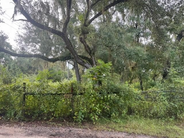 En Venta: $29,999 (2.30 acres)