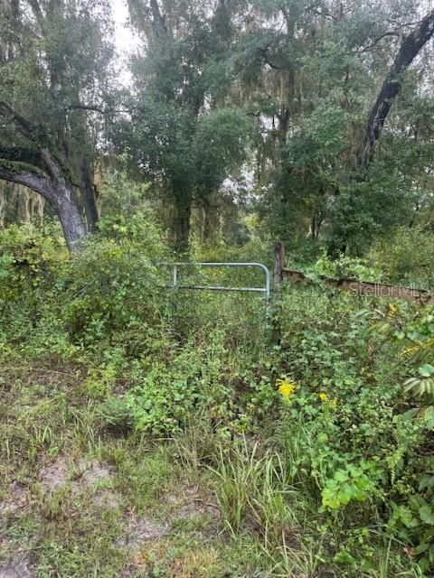 En Venta: $29,999 (2.30 acres)