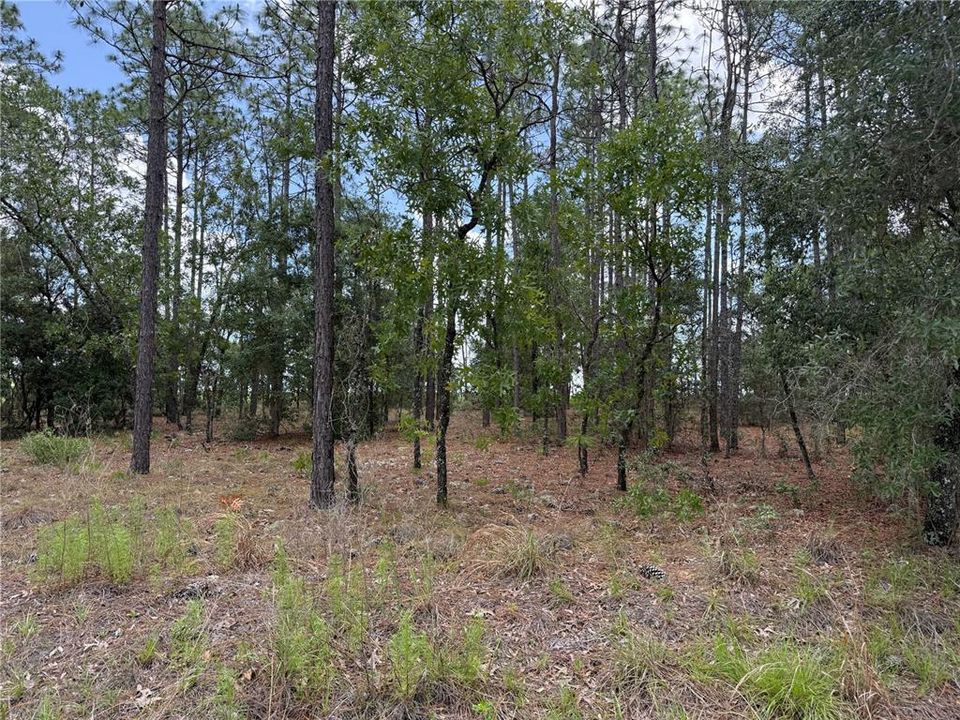 На продажу: $11,000 (0.33 acres)