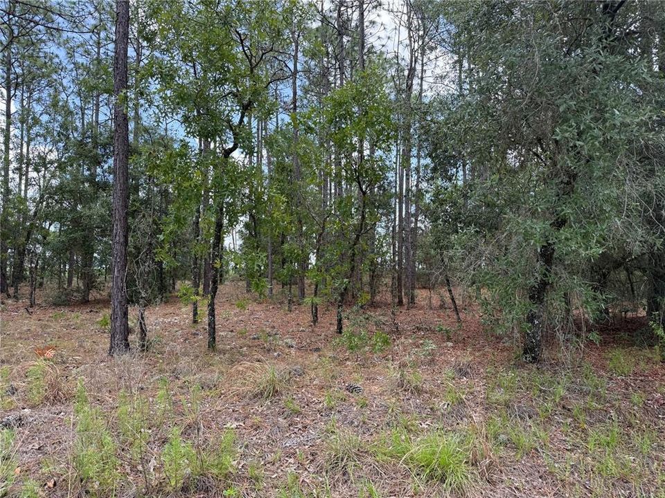 На продажу: $11,000 (0.33 acres)