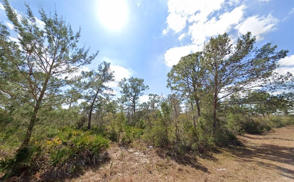 待售: $13,500 (0.23 acres)