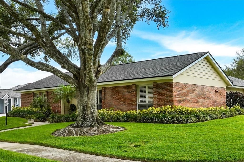 For Sale: $554,900 (3 beds, 2 baths, 1802 Square Feet)
