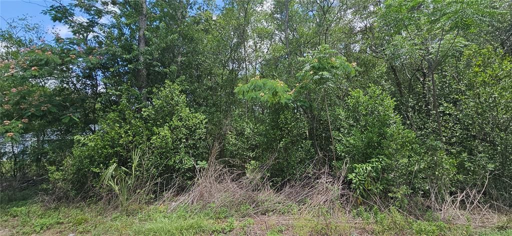 На продажу: $22,000 (0.22 acres)