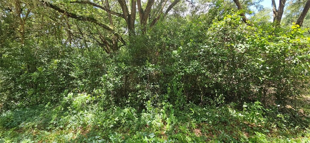 待售: $30,000 (0.24 acres)