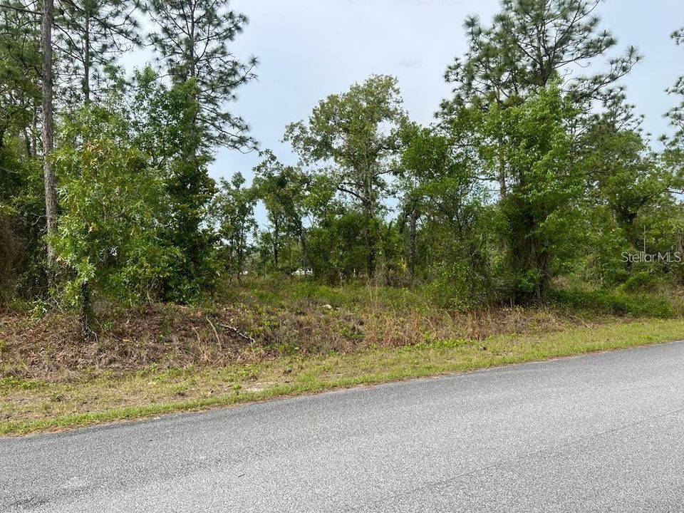 На продажу: $13,500 (0.25 acres)