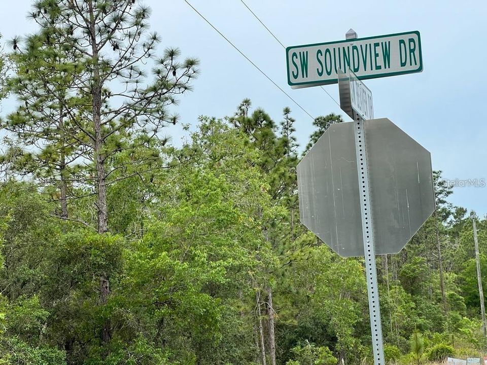На продажу: $13,500 (0.25 acres)