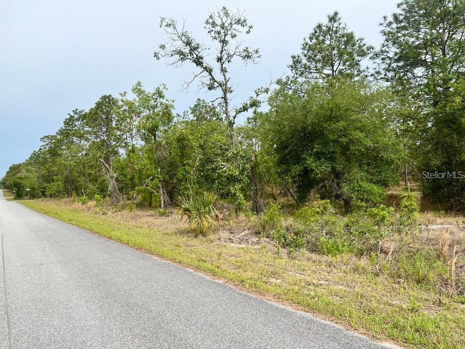 На продажу: $13,500 (0.25 acres)